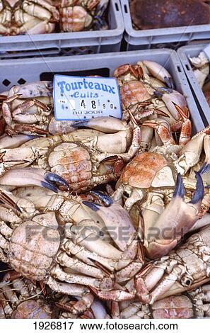 Stock Photo - Local Seafood In Market. Fotosearch