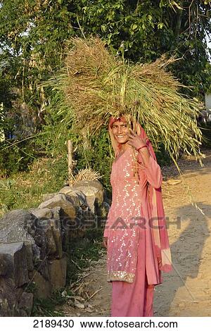 Stock Image - Local Villager In Pink Balances Her Wheat Harvest On Her Head In The Late Afternoon., Bir, Himachal Pradesh, India. Fotosearch