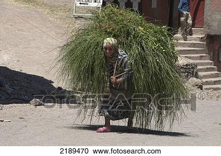 Local Woman Carrying A Huge Load Of Grass In Imlil, Toubkal, Morocco View Large Photo Image Stock Image - Local Woman Carrying A Huge Load Of Grass In Imlil, Toubkal, Morocco. Fotosearch