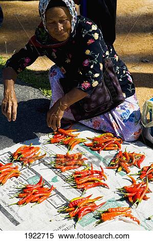 Stock Photography - Local Woman Selling Red Chilllies. Fotosearch