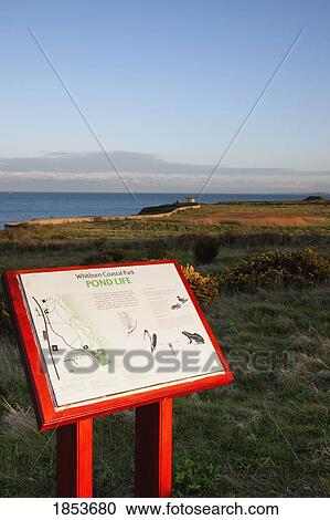 Location Map, South Shields, Tyne And Wear, England View Large Photo Image Stock Image - Location Map, South Shields, Tyne And Wear, England. Fotosearch