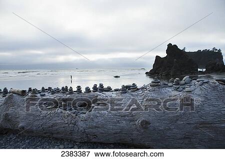 Log with rocks stacked by people, Sea stacks, Ruby Beach; Washington, United States of America View Large Photo Image Stock Photo - Log with rocks stacked by people, Sea stacks, Ruby Beach; Washington, United States of America. Fotosearch