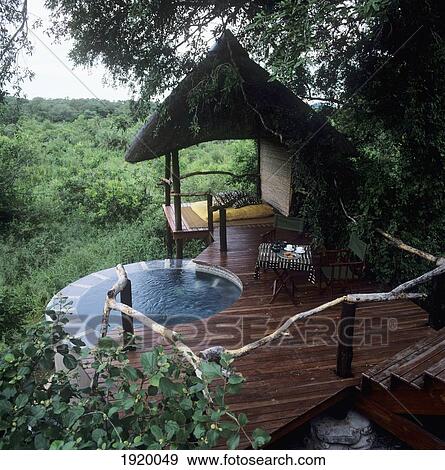 Londolozi Tree Camp, Luxury Safari Lodge; South Africa View Large Photo Image Stock Photo - Londolozi Tree Camp, Luxury Safari Lodge; South Africa. Fotosearch