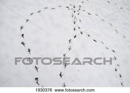 London, England View Large Photo Image Stock Photograph - London, England. Fotosearch