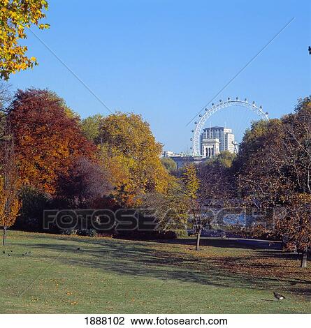 Stock Image - London Eye And Whitehall From St James's Park. Fotosearch