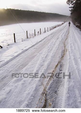 Stock Photography - Lone Biker Cycling On Snowy Road Beside Field And Woodland. Fotosearch