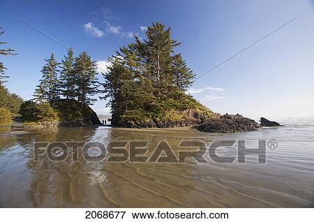 Stock Photo - Long Beach A Surfer's Paradise In Pacific Rim National Park Near Tofino; British Columbia Canada. Fotosearch