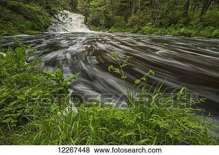 Stock Photo - Long exposure of stream and waterfall on an unnamed river outside of Prince Rupert; British Columbia, Canada. Fotosearch