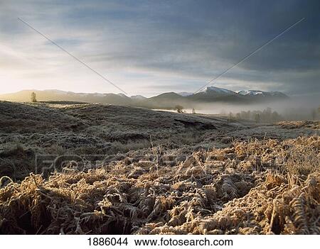 Looking Across Frosted Fields And Misty Valley To Aonach Mor View Large Photo Image Picture - Looking Across Frosted Fields And Misty Valley To Aonach Mor. Fotosearch