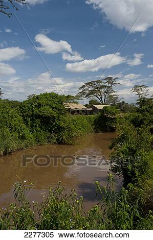 Looking across river to mess tent and lounge tent of Ol Pejeta Bush Camp, Ol Pejeta Conservancy; Kenya View Large Photo Image Stock Photography - Looking across river to mess tent and lounge tent of Ol Pejeta Bush Camp, Ol Pejeta Conservancy; Kenya. Fotosearch