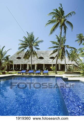Looking Across The Swimming Pool View Large Photo Image Stock Image - Looking Across The Swimming Pool. Fotosearch