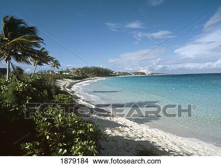 Looking Along Cabbage Beach View Large Photo Image Picture - Looking Along Cabbage Beach. Fotosearch