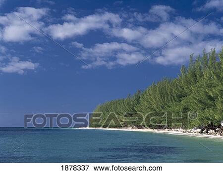 Stock Photo - Looking Along Lucayan Beach. Fotosearch