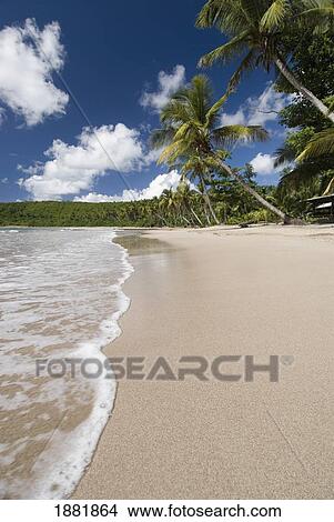 Looking Along The Beach At La Sagesse View Large Photo Image Picture - Looking Along The Beach At La Sagesse. Fotosearch
