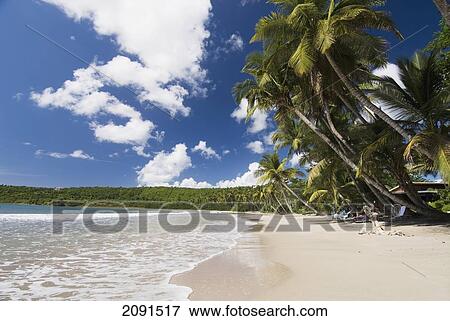Stock Photo - Looking Along The Beach At La Sagesse, Grenada.. Fotosearch
