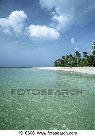 Looking Along The Beach View Large Photo Image Stock Photograph - Looking Along The Beach. Fotosearch