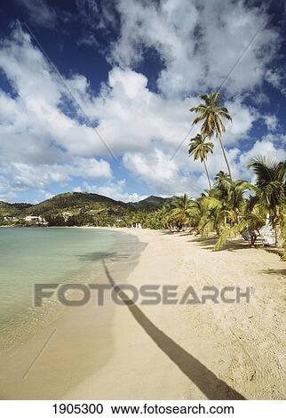Looking Along The Beach To Carlisle Bay Hotel, Antigua. View Large Photo Image Stock Image - Looking Along The Beach To Carlisle Bay Hotel, Antigua.. Fotosearch