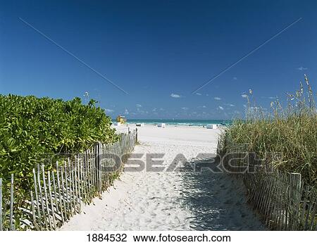 Looking Down Path To Beach View Large Photo Image Stock Image - Looking Down Path To Beach. Fotosearch