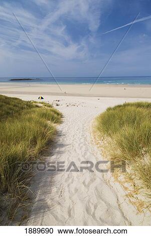 Looking Down Track Through Grassy Dunes To The Beach View Large Photo Image Stock Image - Looking Down Track Through Grassy Dunes To The Beach. Fotosearch