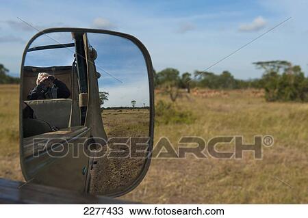Looking in wing mirror of 4x4 to tourist watching wildlife, Ol Pejeta Conservancy; Kenya View Large Photo Image Stock Image - Looking in wing mirror of 4x4 to tourist watching wildlife, Ol Pejeta Conservancy; Kenya. Fotosearch