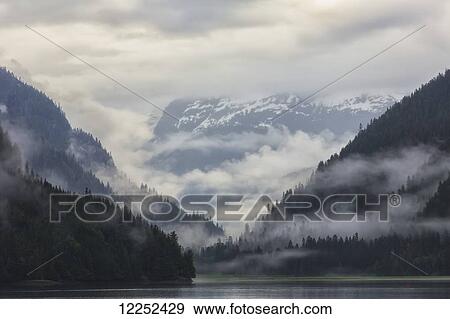 Stock Photo - Looking into the fog shrouded estuary of Khutzeymateen Grizzly Bear Sanctuary; British Columbia, Canada. Fotosearch
