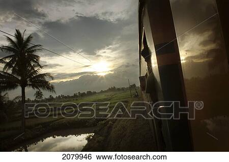 Looking Out On A Side Of A Train With The Sun Setting In The Over Rice Fields; Java Indonesia View Large Photo Image Stock Photograph - Looking Out On A Side Of A Train With The Sun Setting In The Over Rice Fields; Java Indonesia. Fotosearch