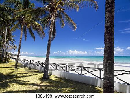 Looking Out To Sea Through Palm Trees From Kilifi View Large Photo Image Stock Photo - Looking Out To Sea Through Palm Trees From Kilifi. Fotosearch