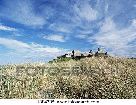 Stock Photography - Looking Over Long Grass To Bamburgh Castle. Fotosearch