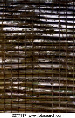 Stock Photo - Looking through bamboo curtain to swimming pool and palm trees at Villa If, near Unawatuna; Thalpe, Sri Lanka. Fotosearch