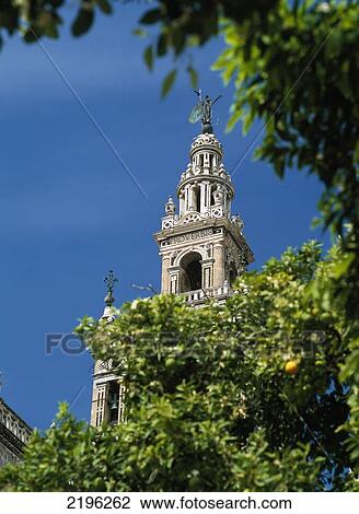 Looking Through Orange Trees To The Giralda, Seville, Andalucia, Spain. View Large Photo Image Stock Image - Looking Through Orange Trees To The Giralda, Seville, Andalucia, Spain.. Fotosearch