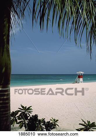 Stock Image - Looking Under Palm Tree To Lifeguards Tower On Doctors Cave Beach. Fotosearch
