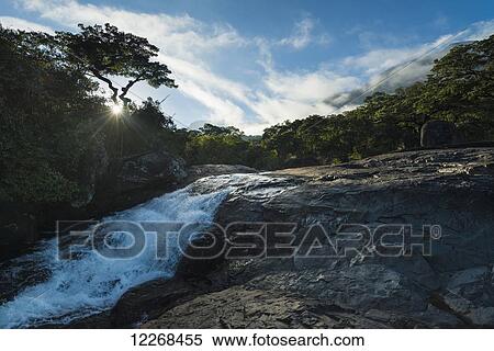 Stock Photography - Looking up small waterfall at dawn, Likhubula, Mount Mulanje; Malawi. Fotosearch