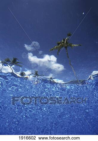 Stock Image - Looking Up Through Swimming Pool ÃƒÆ’Ã‚Â¡ÃƒÆ’Ã‚Â¡. Fotosearch