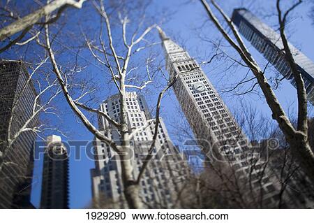 Stock Image - Looking up through trees at skyscrapers in New York. USA.. Fotosearch