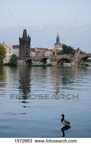 Stock Image - Loon And Stare Mesto Tower Of The Charles Bridge Over The Vltava River At Dusk, Prague, Czech Republic. Fotosearch