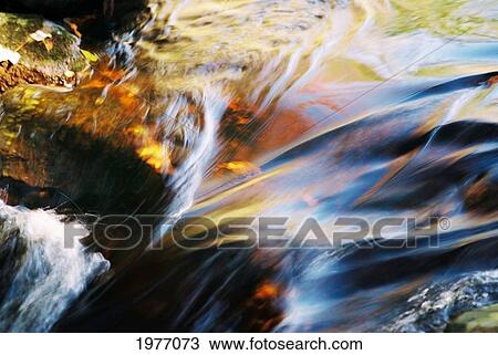 Stock Image - Lorelei, Rhode Island, Bristol, Blithewood, Colors And Reflections On Stream.. Fotosearch