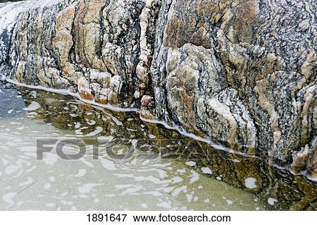 Lose-Up Of Gneiss Rock Sunken In Water View Large Photo Image Stock Photo - Lose-Up Of Gneiss Rock Sunken In Water. Fotosearch