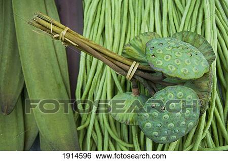 Lotus Seed Heads On Market Stall View Large Photo Image Stock Photograph - Lotus Seed Heads On Market Stall. Fotosearch