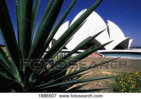 Stock Photo - Lotus Temple As Seen Through Palm Plant. Fotosearch