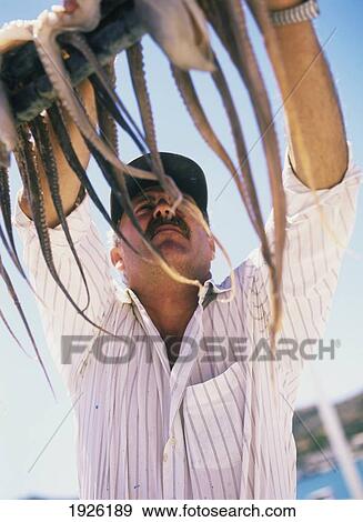 Low Angle Shot Of Man Hanging Octopus View Large Photo Image Stock Photo - Low Angle Shot Of Man Hanging Octopus. Fotosearch
