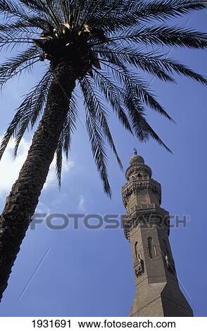 Low Angle View Of Minaret Of Sultan Hassan Mosque And A Palm Tree With Bright Blue Sky Behind, Cairo, Egypt; Cairo, Egypt View Large Photo Image Stock Image - Low Angle View Of Minaret Of Sultan Hassan Mosque And A Palm Tree With Bright Blue Sky Behind, Cairo, Egypt; Cairo, Egypt. Fotosearch
