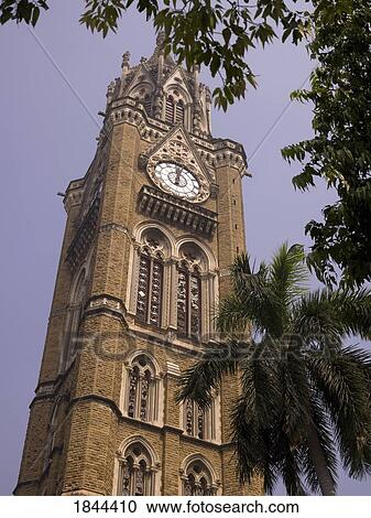 Low Angle View Of Rajabai Tower; Mumbai, India View Large Photo Image Stock Image - Low Angle View Of Rajabai Tower; Mumbai, India. Fotosearch