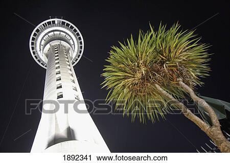 Stock Image - Low Angle View Of Sky Tower And Tree. Fotosearch