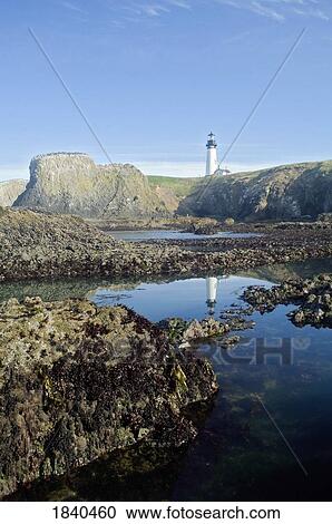 Stock Image - Low Tide At Yaquina Head Lighthouse; Yaquina Head Outstanding Natural Area, Newport, Oregon, Usa. Fotosearch