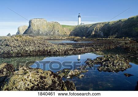 Low Tide At Yaquina Head Lighthouse; Yaquina Head Outstanding Natural Area, Newport, Oregon, Usa View Large Photo Image Stock Image - Low Tide At Yaquina Head Lighthouse; Yaquina Head Outstanding Natural Area, Newport, Oregon, Usa. Fotosearch