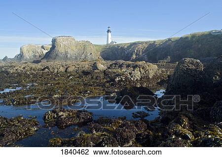 Stock Image - Low Tide At Yaquina Head Lighthouse; Yaquina Head Outstanding Natural Area, Newport, Oregon, Usa. Fotosearch