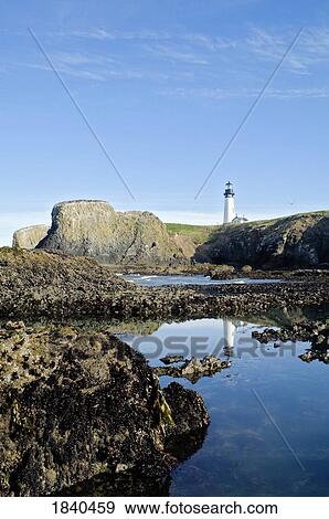 Stock Photo - Low Tide At Yaquina Head Lighthouse; Yaquina Head Outstanding Natural Area, Newport, Oregon, Usa. Fotosearch