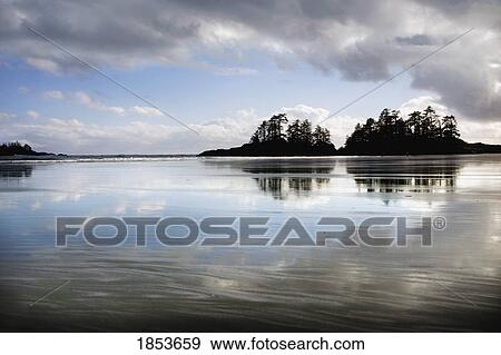 Low Tide In Tofino; Tofino, Vancouver Island, British Columbia, Canada View Large Photo Image Stock Photo - Low Tide In Tofino; Tofino, Vancouver Island, British Columbia, Canada. Fotosearch