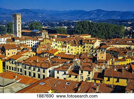 Lucca Town, Elevated View View Large Photo Image Stock Image - Lucca Town, Elevated View. Fotosearch