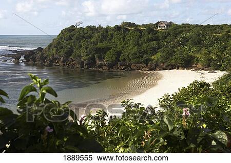 Lush Coastline, High Angle View View Large Photo Image Stock Photography - Lush Coastline, High Angle View. Fotosearch